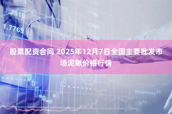 股票配资合同 2025年12月7日全国主要批发市场泥鳅价格行情