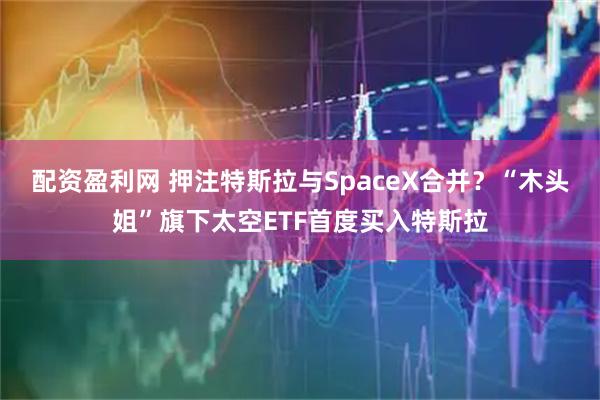 配资盈利网 押注特斯拉与SpaceX合并？“木头姐”旗下太空ETF首度买入特斯拉
