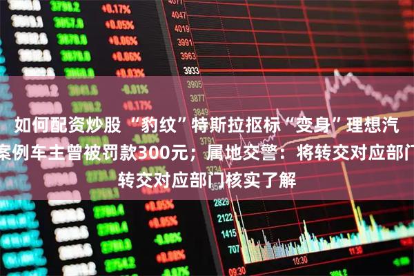 如何配资炒股 “豹纹”特斯拉抠标“变身”理想汽车，相似案例车主曾被罚款300元；属地交警：将转交对应部门核实了解